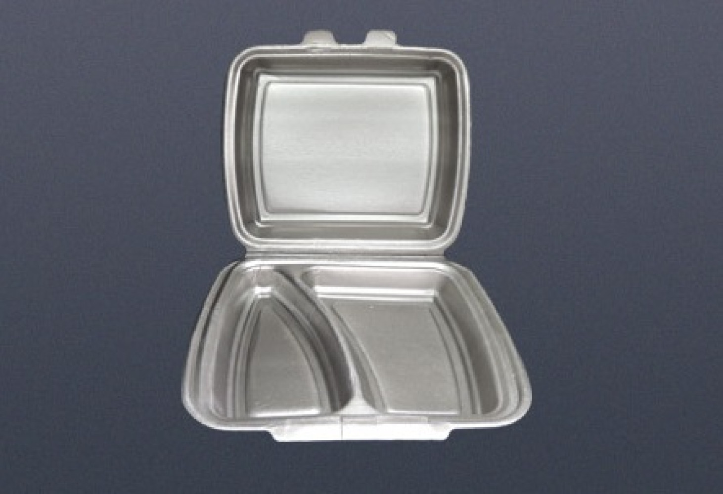 Ланч бокс из вспененного полистирола 2-х секционный НР-2 черный 250х210х70 мм 125 шт/уп