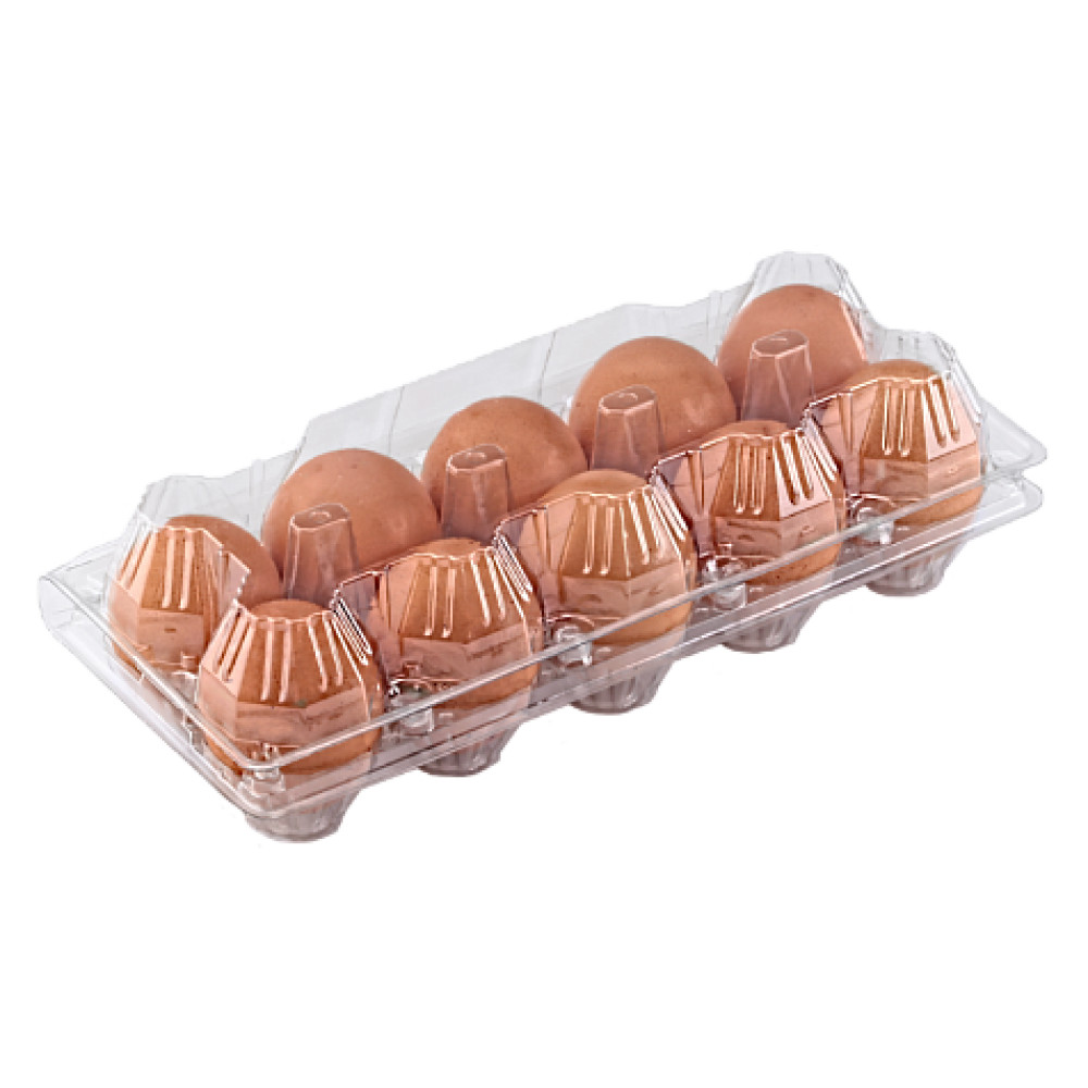Упаковка для куриных яиц 10 ячеек пластиковая прозрачная 250х105х70 мм 1 шт (600 шт/ящ)
