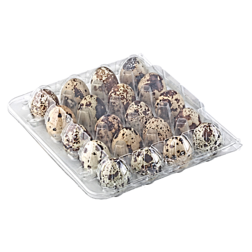 Упаковка для перепелиных яиц 20 ячеек пластиковая прозрачная 170х150х39 мм 1 шт (744 шт/ящ)