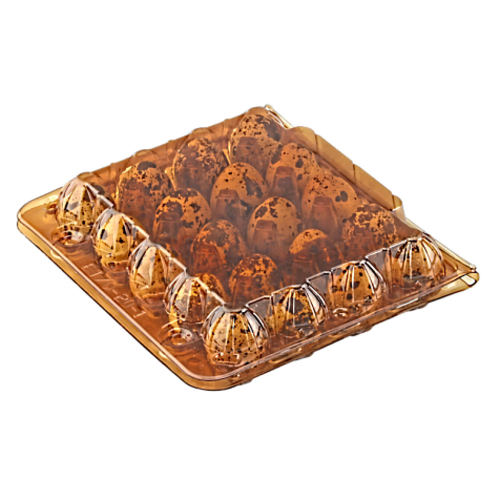 Упаковка для перепелиных яиц 20 ячеек пластиковая коричневая 170х150х39 мм 1 шт (744 шт/ящ)